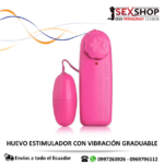 Huevo Vibrador Estimulador Femenino